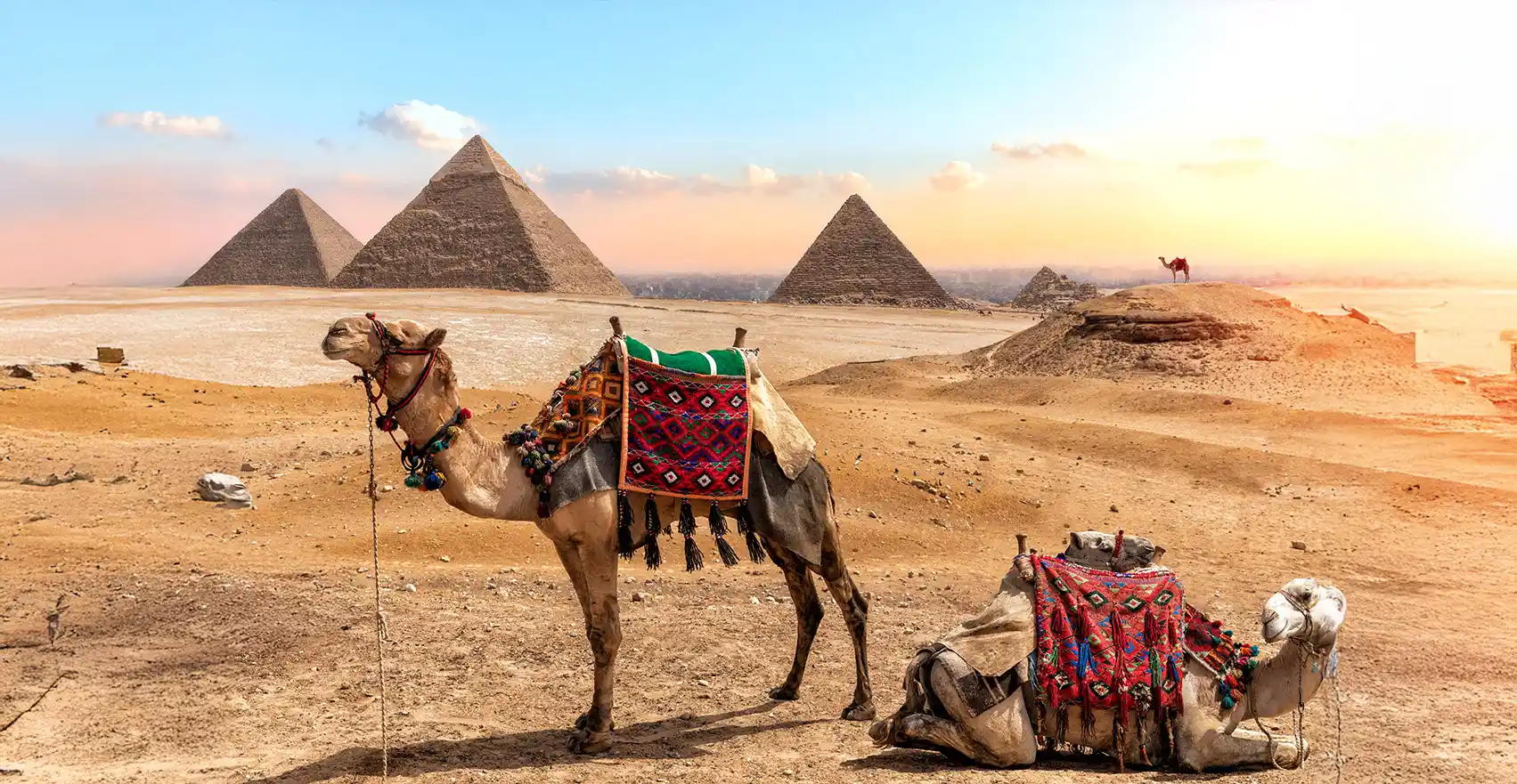 main-banner-images-0